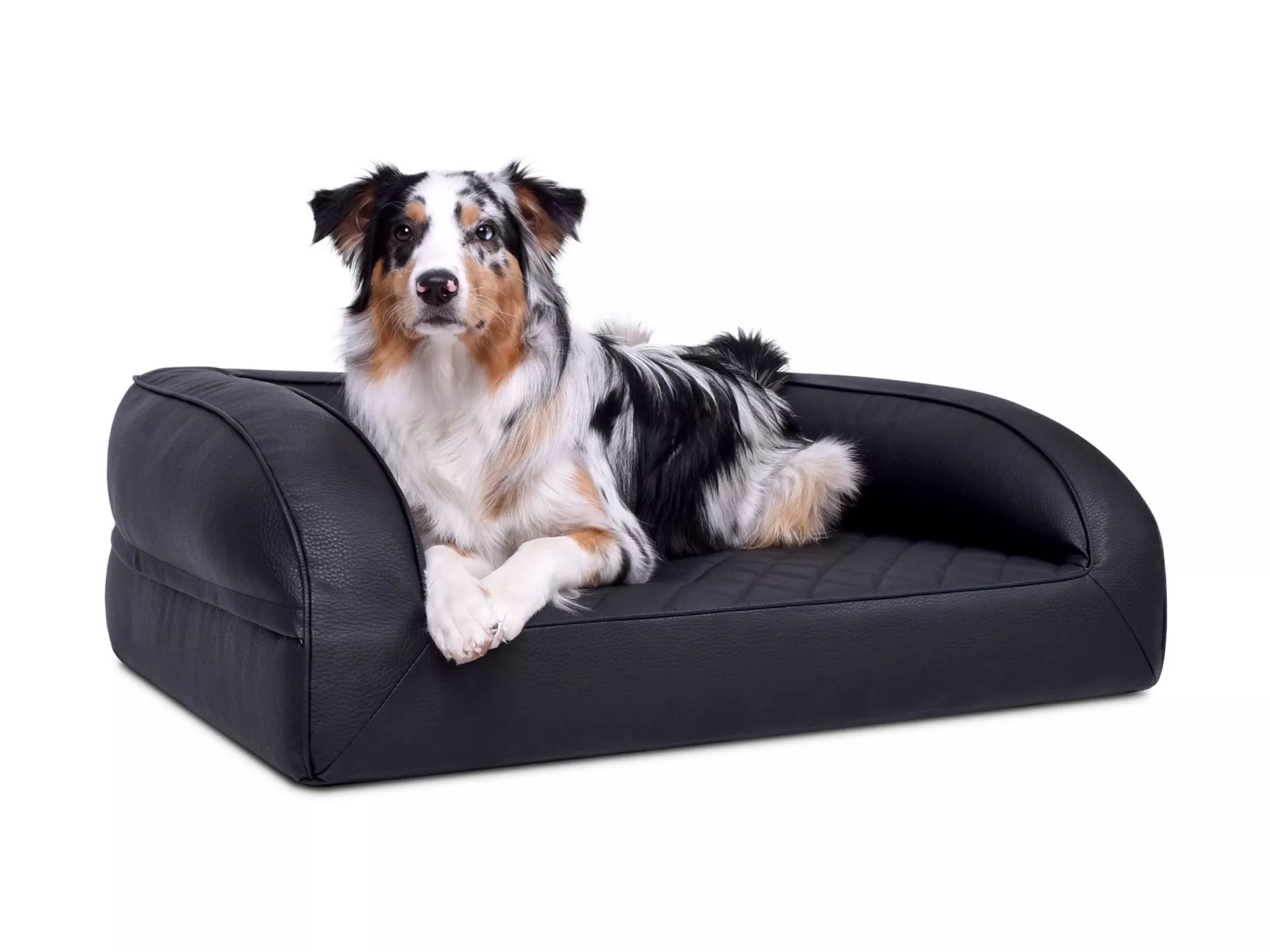 mypado Flo Kunstleder-Premium gesteppt Hundebett